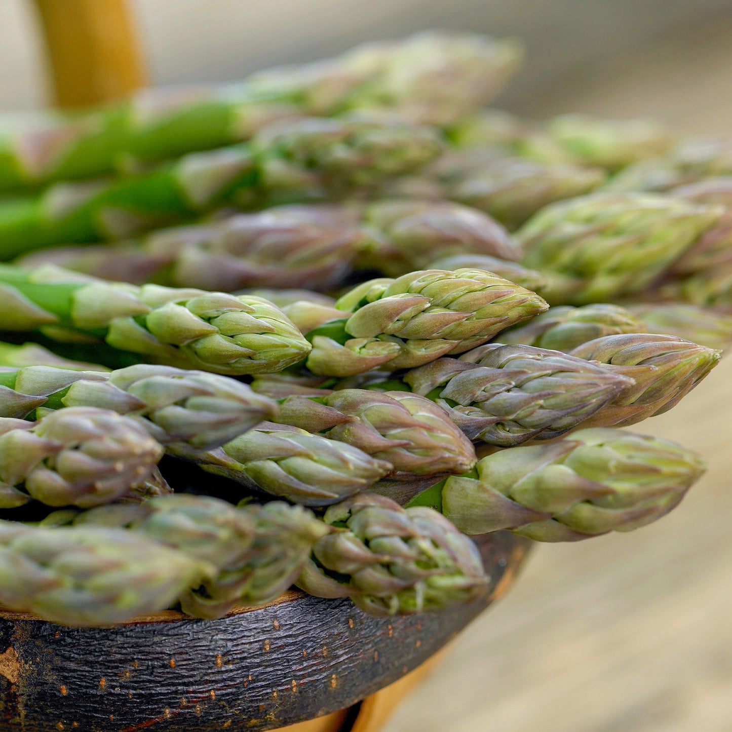 Asparagus 'Millennium'